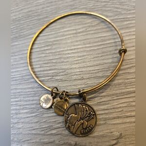 Discontinued Alex and Ani 2013 Bracelet Infused with Energy Expandable Bangle